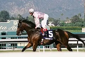 Image illustrative de l’article Henrythenavigator