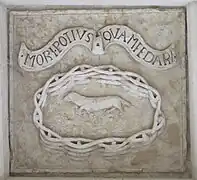 Hermine dans sa palissade tressée