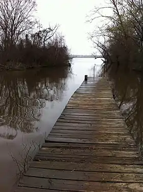 Image illustrative de l’article Lac Palestine