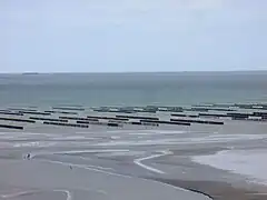 Hillion des Côtes-d'Armor en Bretagne.