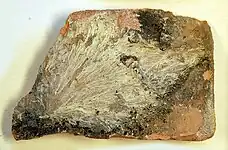 Filaments entre deux pièces de bois.