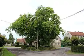 Hrušov (district de Mladá Boleslav)