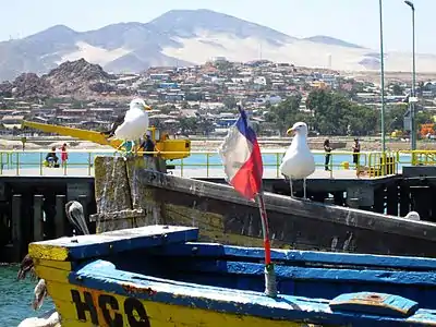Le port de Huasco.