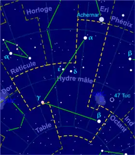 Image illustrative de l'article Hydre mâle