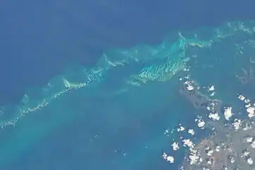 Cayos de Buenavista et Rapado Chico.