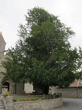 If millénaire et portail XIIe&nbsp;siècle.
