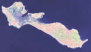 Photo satellite de l'île de Ré (NASA).
