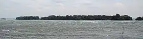 L'île aux Chèvres (sur la gauche) et l'île aux Hérons (sur la droite) dans les rapides de Lachine.