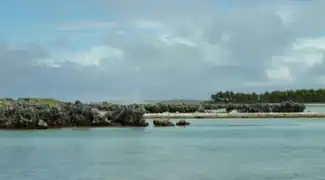 Île aux récifs à Rangiroa.