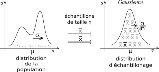 alternative textuelle