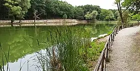 Palazzo San Gervasio