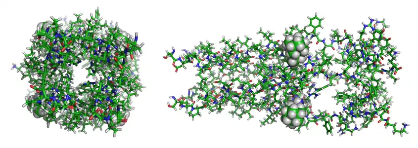 Protéine M2 du virus de la grippe A complexée avec la rimantadine (PDB 2RLF)
