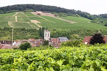 Village et vignoble d'Irancy