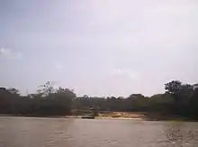 L'Île d'Anacoco à la confluence des rivières Cuyuní et Wenamu.