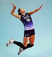 Image illustrative de l’article Ivana Nešović