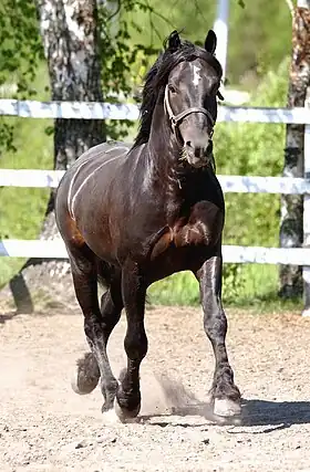 Image illustrative de l’article Järvsöfaks