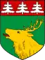Blason de Jõhvi