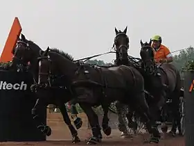 Image illustrative de l’article Theo Timmerman