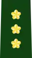 陸将 (général de division)