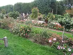 Jardin des plantes de Paris