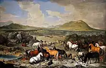 Des chevaux de couleurs variée dans un paysage, libres.