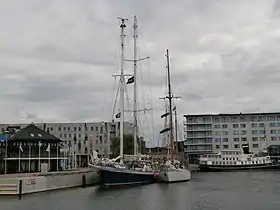 illustration de Wyvern av Aalesund