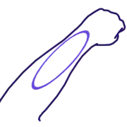 Haiwan, revers de l'avant-bras.