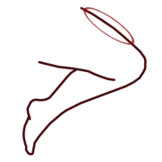 Momo, dessus de la cuisse.