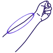 Naiwan, côté intérieur de l'avant bras (dans le prolongement du pouce).