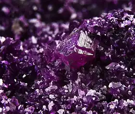 Image illustrative de l’article Kämmerérite