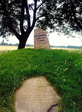 Białobrzegi (Lubartów)