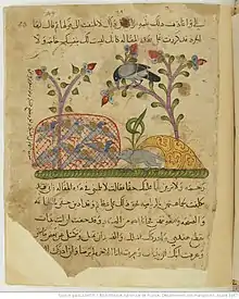 Kalila et Dimna : « La colombe au collier »