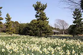 Image illustrative de l’article Parc de Kasai Rinkai