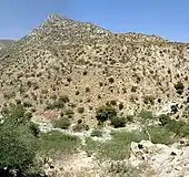 Photo en couleurs d'un paysage aride parsemé de petits buissons