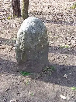 Image illustrative de l’article Menhir de Hradištko