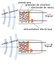 Schéma du microphone à charbon.