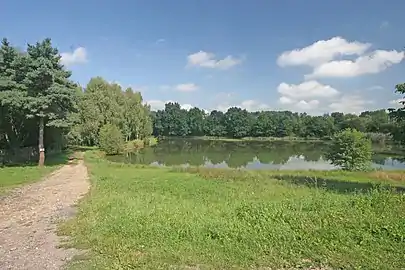 Un ancien bras de l'Elbe à Kojice.
