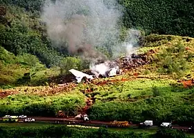 Prise de vue aérienne, montrant le site du crash du vol 801.