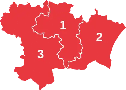 Parti en tête par circonscription (1er tour).
