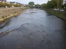La Corrèze au pont Cardinal, Brive-la-Gaillarde