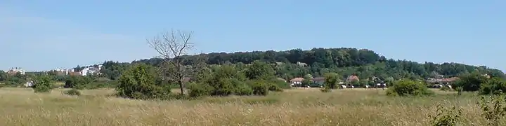 Une longue colline boisée et légèrement inclinée.