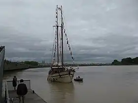 illustration de Sinbad (goélette)