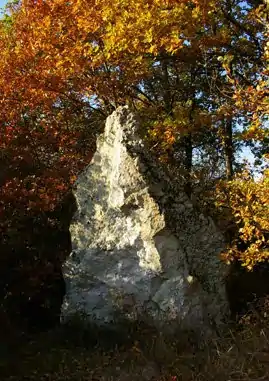 Image illustrative de l’article Pierre aux Joncs