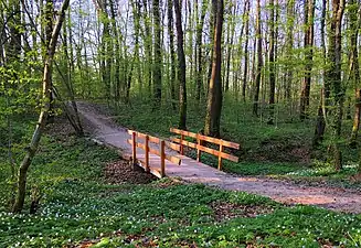 Image illustrative de l’article Bois de la Foretaille