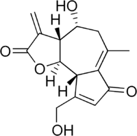 Image illustrative de l’article Lactucine