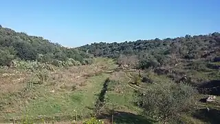 Lama Balice Bari Palese