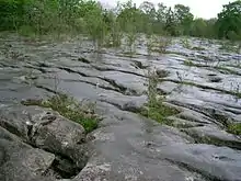 Loulle dans le Jura, en France.