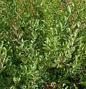 À Hyderabad,en Inde.