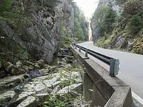 Les gorges et la route les longeant.