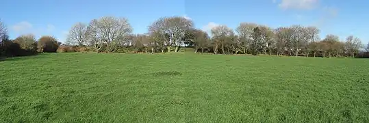 Image illustrative de l’article Hague-Dick